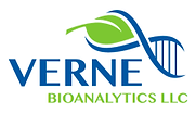 verne